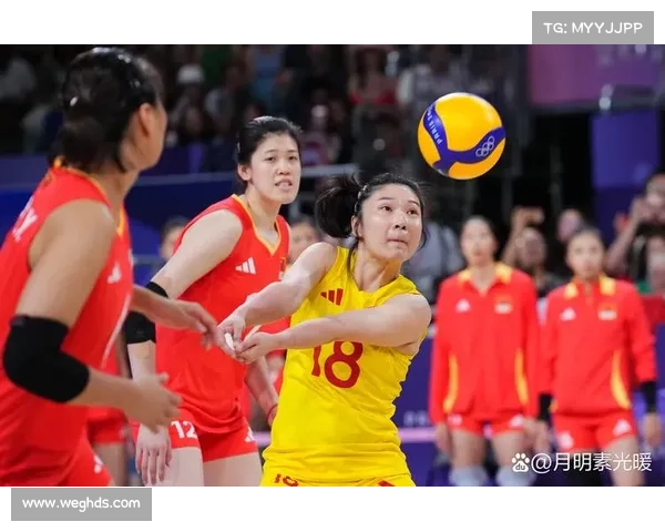 中国女排2016年战绩