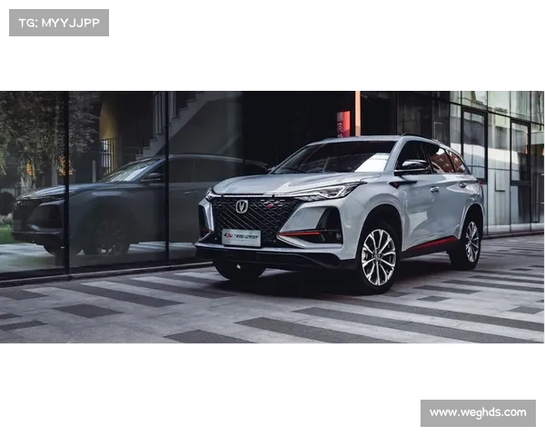 2015攀岩赛事、2015攀岩赛事巅峰对决精彩回顾全纪录