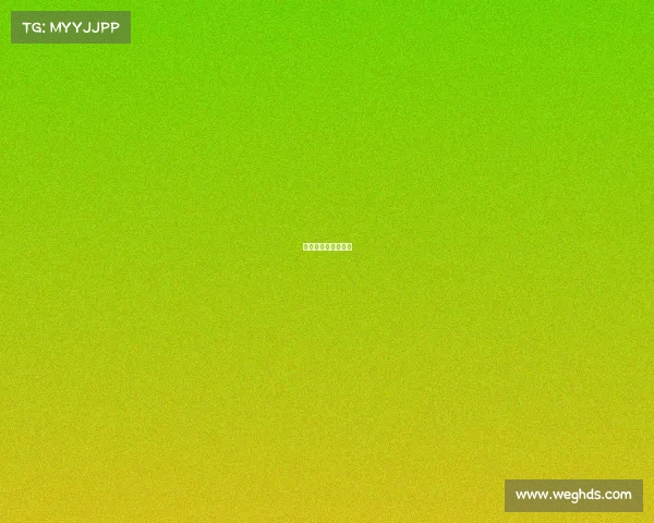 合伙人赛马机制细则