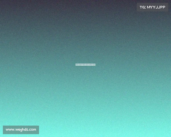 职业拳击赛事组织职业拳击联赛